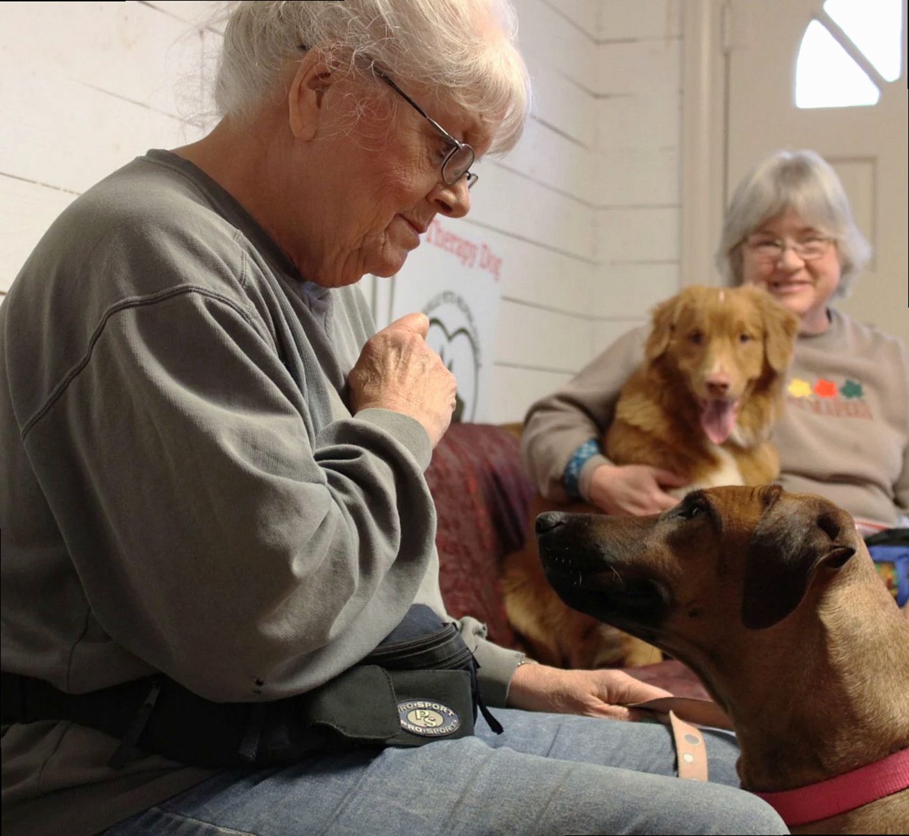 Senior women engaging with their dogs indoors, depicting warmth and companionship.